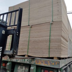 Nếu bạn đang thi công móng nhà và cần giải pháp kè vách đất an toàn – tiết kiệm – dễ thi công, ván ép mỏng chính là lựa chọn đáng cân nhắc.