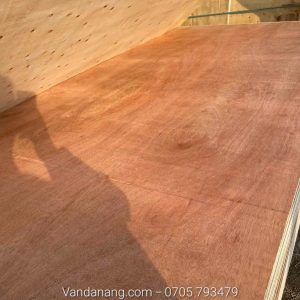 ván ép đỏ và ván phủ phim