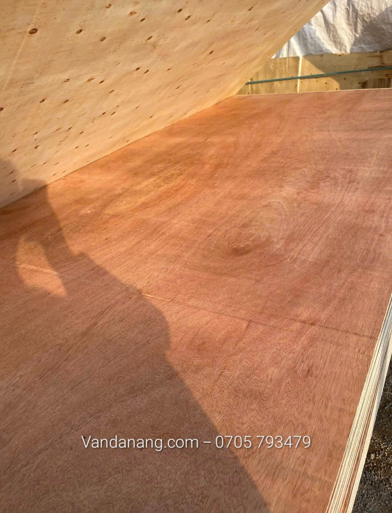 ván ép đỏ và ván phủ phim